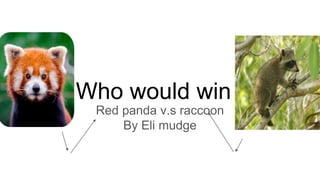 Who would win
Red panda v.s raccoon
By Eli mudge
 