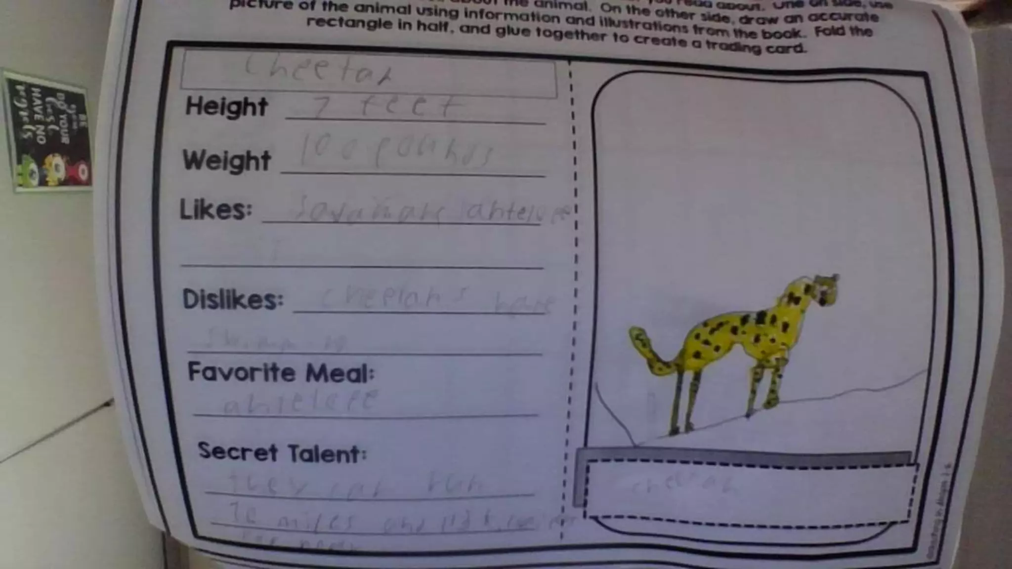 Who would win cheetah vs. wolf | PPT