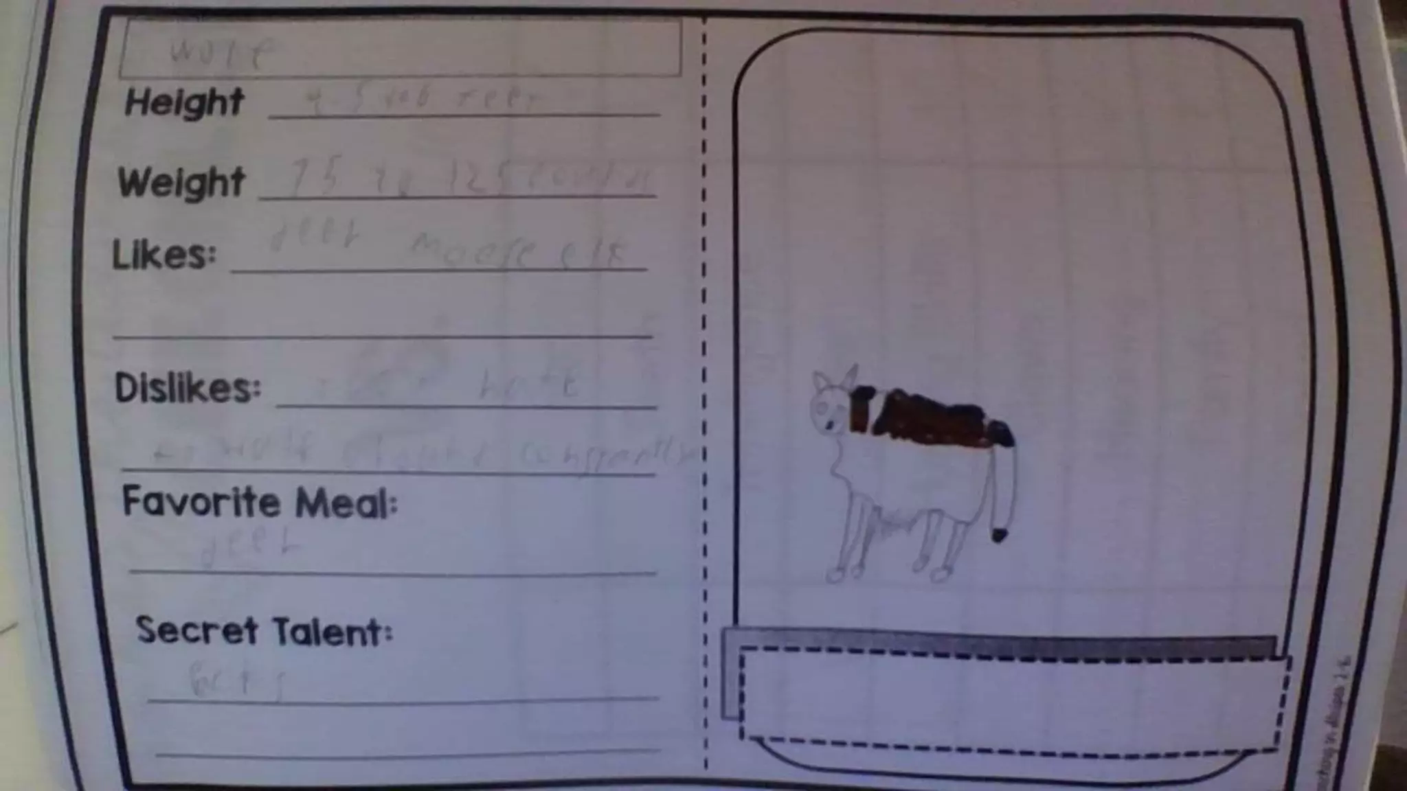 Who would win cheetah vs. wolf | PPT