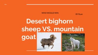 Desert bighorn
sheep VS. mountain
goat
WHO WOULD WIN
BY Ryan
 
