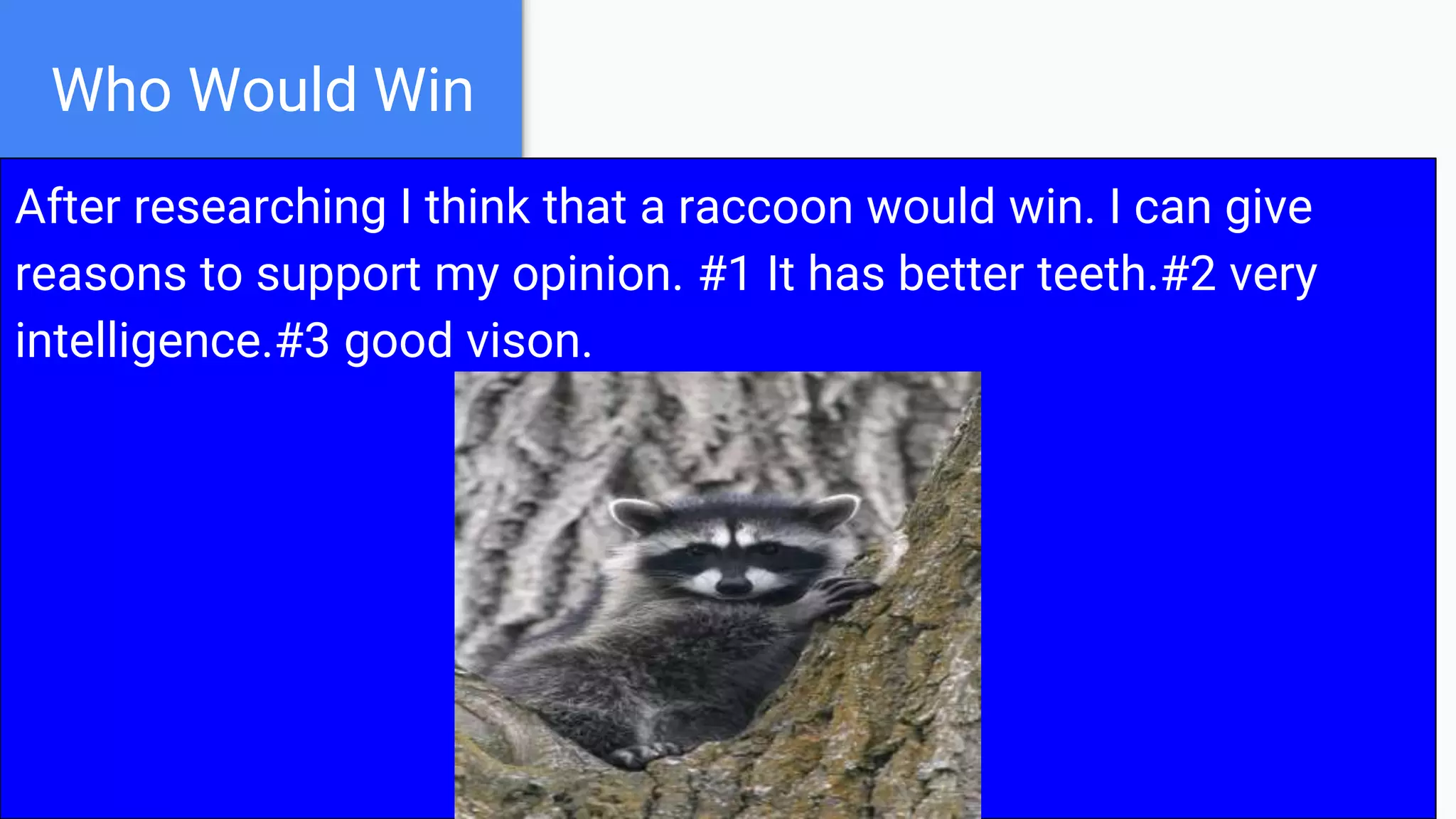 Who would win jackrabbit vs.raccoon by nolan | PPTX