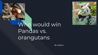 Who would win
Pandas vs.
orangutans
By: Jackson
 