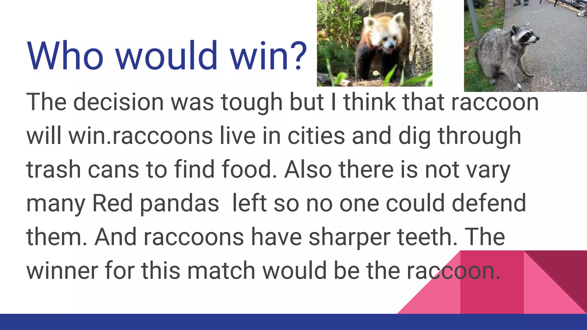 Panda Vs Racoon Who would win red panda vs. raccoons | PPTX