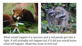 Panda Vs Racoon Who would win red panda vs. raccoons | PPTX