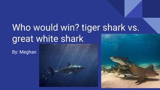 Who would win? tiger shark vs.
great white shark
By: Meghan
 