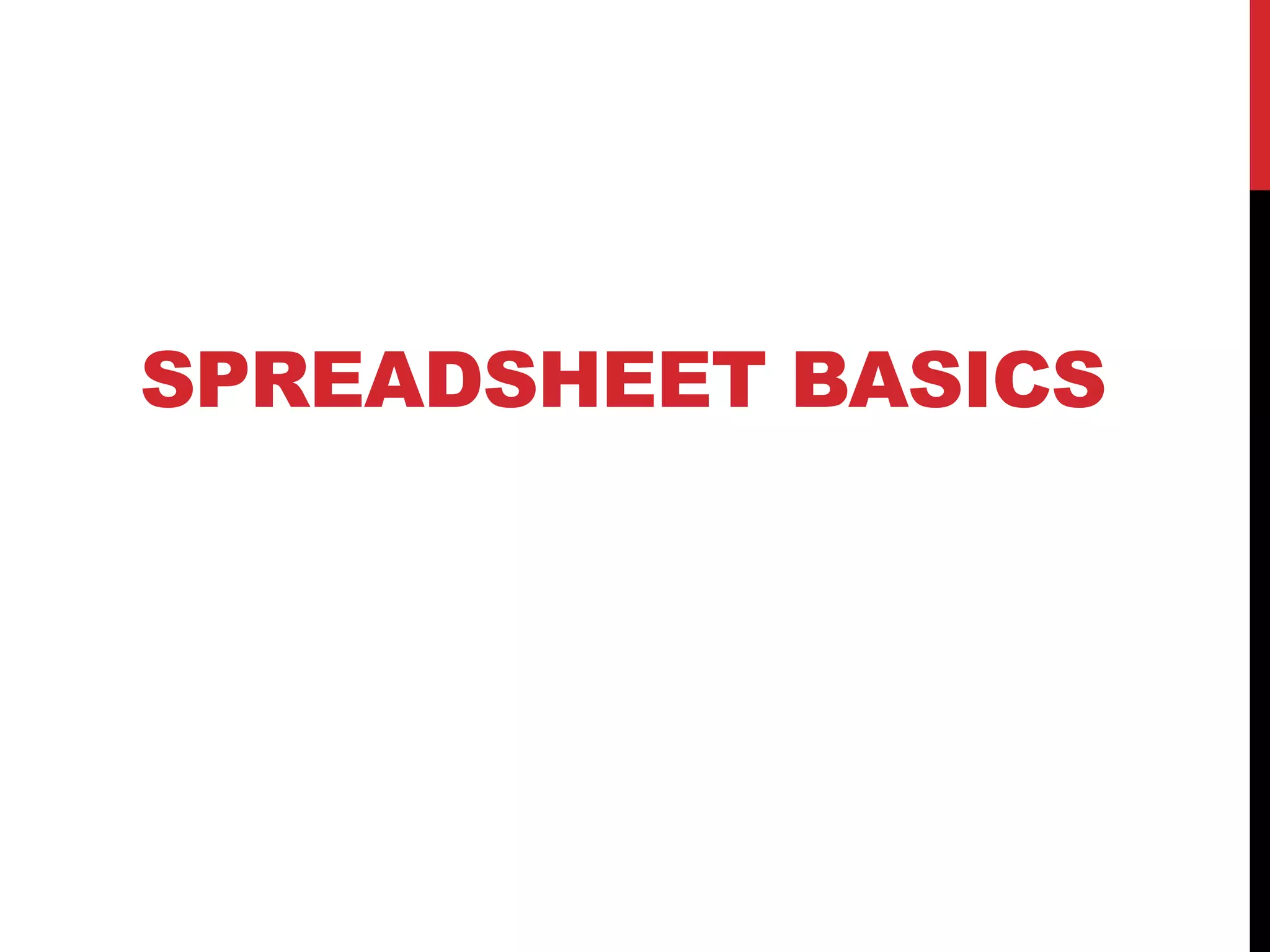 SPREADSHEET BASICS
 