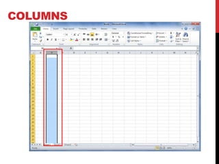 COLUMNS
 