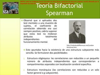 Observó que si aplicados dos test mentales a una muestra de sujetos, el coeficiente de correlación obtenido era casi siempre positivo; cabría suponer que estos test no midieran atributos totalmente independientes del funcionamiento mental.http://individualdifferences.net/LondonPersonnel.htmEsto apuntaba hacia la existencia de una estructura subyacente más sencilla. Se formularon dos posibilidades:Estructura oligárquica: las correlaciones son reducidas a un pequeño número de atributos independientes que corresponderían a compartimentos separados con localización cerebral específica.Estructura monárquica (las correlaciones son reducidas a un solo factor general o g subyacente).Teoría BifactorialSpearman