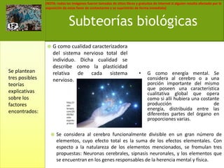 G como cualidad caracterizadora del sistema nervioso total del individuo. Dicha cualidad se describe como la plasticidad relativa de cada sistema nervioso.Se considera al cerebro funcionalmente divisible en un gran número de elementos, cuyo efecto total es la suma de los efectos elementales. Con especto a la natulareza de los elementos mencionados, se fromulan tres propuestas: Neuronas cerebrales, sipnasis neuronales, y los elementos que se encuentran en los genes responsables de la herencia mental y física.Subteorías biológicasSe plantean tres posibles teorías explicativas sobre los factores encontrados:G como energía mental. Se considera al cerebro o a una porción importante del mismo que poseen una característica cualitativa global que opera como si allí hubiera una costante producción de energía, distribuida entre las diferentes partes del órgano en proporciones varias.http://reiki-terapia.com/2009/06/vida-espiritual.html