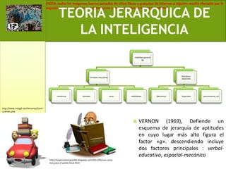 VERNON (1969), Defiende un esquema de jerarquía de aptitudes en cuyo lugar más alto figura el factor «g». descendiendo incluye dos factores principales : verbal-educativo, espacial-mecánicoTEORIA JERARQUICA DE LA INTELIGENCIAhttp://www.sologif.net/Personas/Conduciendo.phphttp://exijamosloimposible.blogspot.com/2011/05/una-carta-mas-para-el-pelele-fecal.html