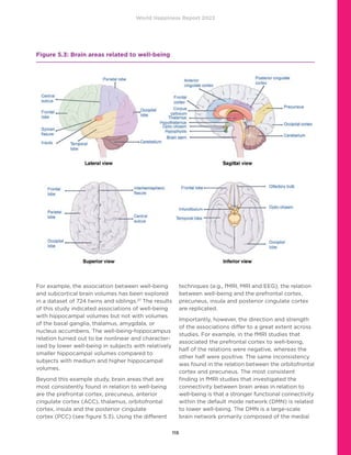 World Happiness Report 2022
115
For example, the association between well-being
and subcortical brain volumes has been explored
in a dataset of 724 twins and siblings.27
The results
of this study indicated associations of well-being
with hippocampal volumes but not with volumes
of the basal ganglia, thalamus, amygdala, or
nucleus accumbens. The well-being-hippocampus
relation turned out to be nonlinear and character-
ised by lower well-being in subjects with relatively
smaller hippocampal volumes compared to
subjects with medium and higher hippocampal
volumes.
Beyond this example study, brain areas that are
most consistently found in relation to well-being
are the prefrontal cortex, precuneus, anterior
cingulate cortex (ACC), thalamus, orbitofrontal
cortex, insula and the posterior cingulate
cortex (PCC) (see figure 5.3). Using the different
techniques (e.g., fMRI, MRI and EEG), the relation
between well-being and the prefrontal cortex,
precuneus, insula and posterior cingulate cortex
are replicated.
Importantly, however, the direction and strength
of the associations differ to a great extent across
studies. For example, in the fMRI studies that
associated the prefrontal cortex to well-being,
half of the relations were negative, whereas the
other half were positive. The same inconsistency
was found in the relation between the orbitofrontal
cortex and precuneus. The most consistent
finding in fMRI studies that investigated the
connectivity between brain areas in relation to
well-being is that a stronger functional connectivity
within the default mode network (DMN) is related
to lower well-being. The DMN is a large-scale
brain network primarily composed of the medial
Figure 5.3: Brain areas related to well-being
		
 
