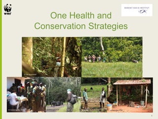 One Health and
Conservation Strategies
1
© Metzger/TCP © Metzger/TCP
© Dehling/WWF© De Nys/WWF
© Grützmacher/WWF © WWF
 