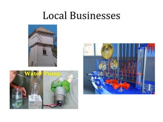 Local Businesses
 