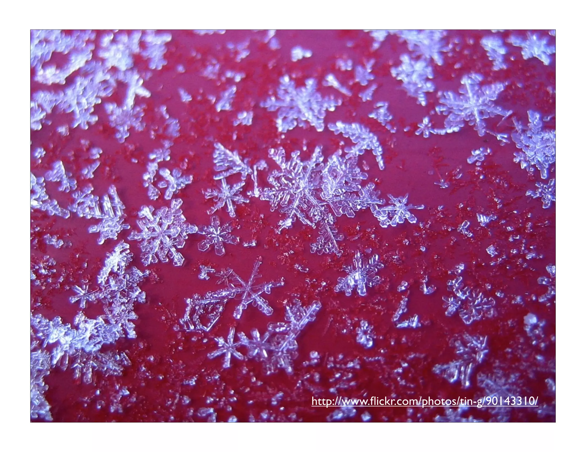 You and Your Whuffie Factor