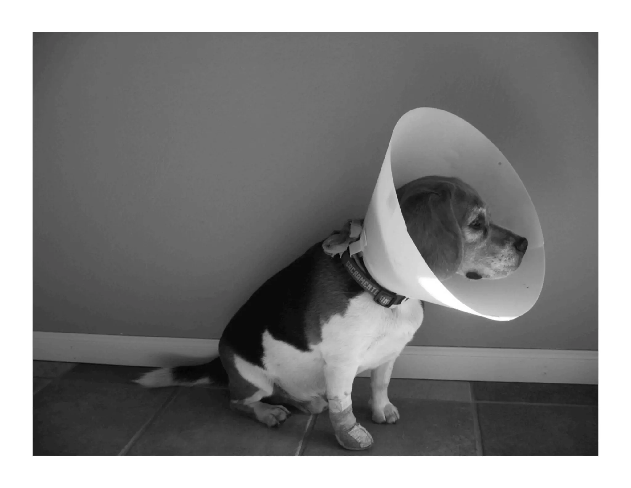 You and Your Whuffie Factor