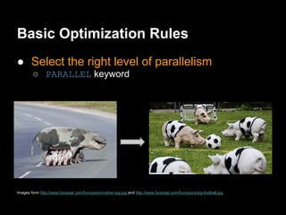Basic Optimization Rules
● Select the right level of parallelism
        ○ PARALLEL keyword




Images form http://www.funpeak.com/funnypics/mother-pig.jpg and http://www.funpeak.com/funnypics/pig-football.jpg
 