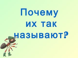 Почему
  их так
называют ?
 