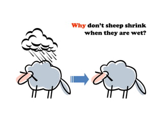 Why don’t sheep shrink
   when they are wet?
 