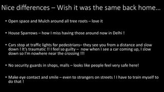 Nice differences C Wish it was the same back home
? Open space and Mulch around all tree roots C love it
? House Sparrows C how I miss having those around now in Delhi !
? Cars stop at traffic lights for pedestriansC they see you from a distance and slow
down ! Its traumatic !! I feel so guilty C now when I see a car coming up, I slow
down so Im nowhere near the crossing !!!
? No security guards in shops, malls C looks like people feel very safe here!
? Make eye contact and smile C even to strangers on streets ! I have to train myself to
do that !
 