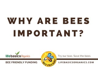 BEE FRIENDLY FUNDING
Try our teas. Save the bees.
W H Y A R E B E E S
I M P O R T A N T ?
LIFEBASICSORGANICS.COM
 