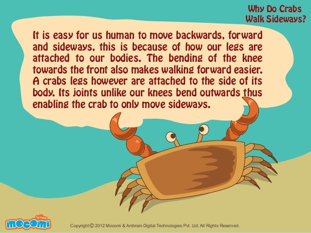 walking sideways why do crabs walk sideways mocomi walking sideways why do crabs walk sideways mocomi