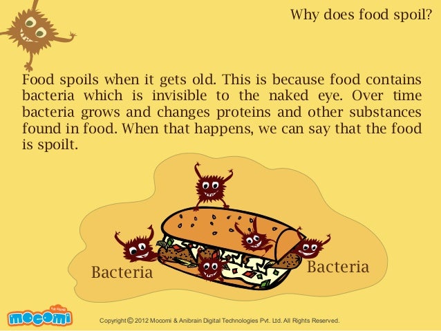 What Happens Eat Spoilt Food What Happens Eat Spoilt Food