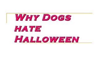 Why Dogs hate Halloween 