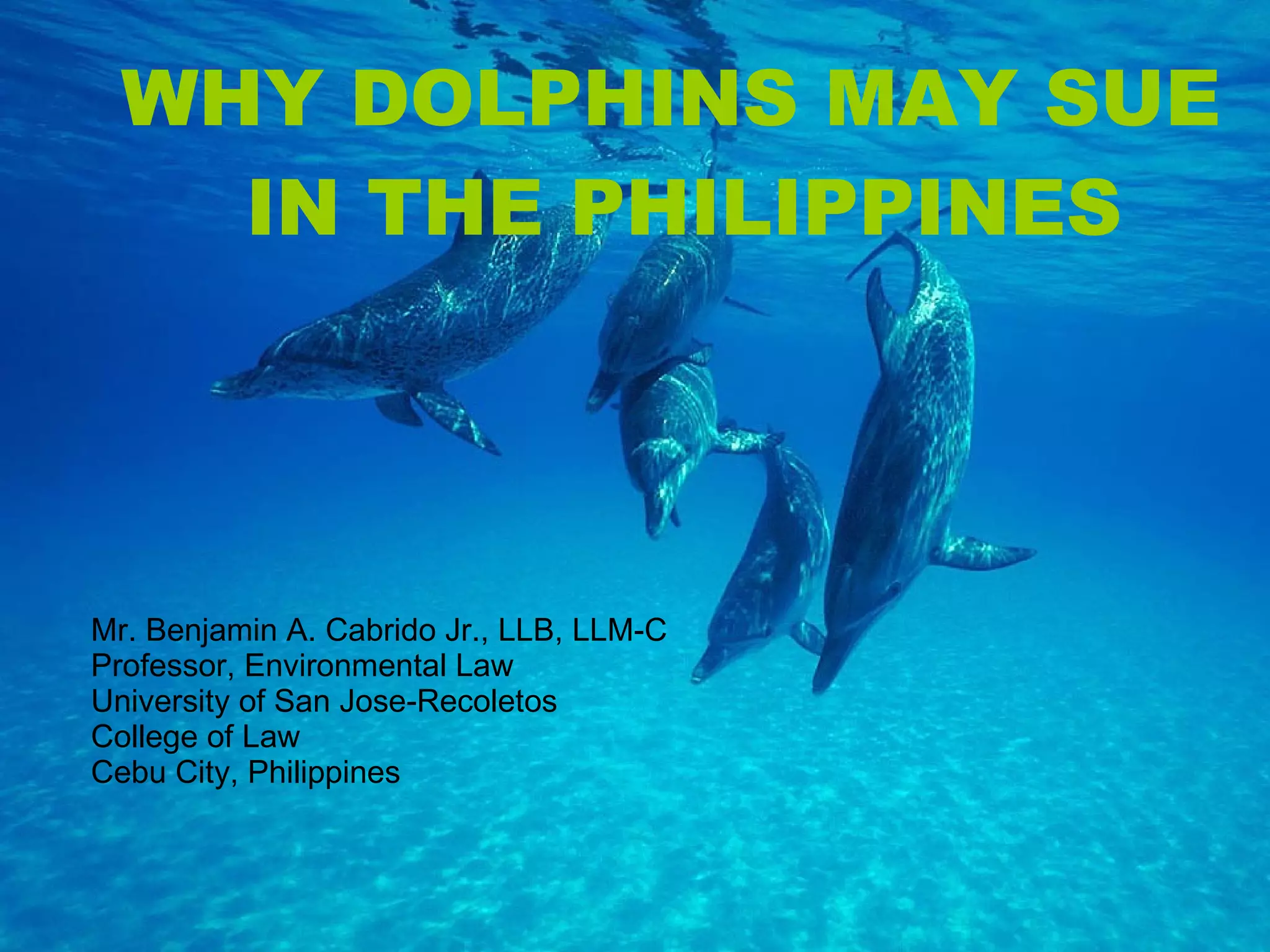 Why Dolphins May Sue In The Philippines | PPT