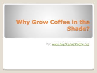Why Grow Coffee in the
Shade?
By: www.BuyOrganicCoffee.org
 