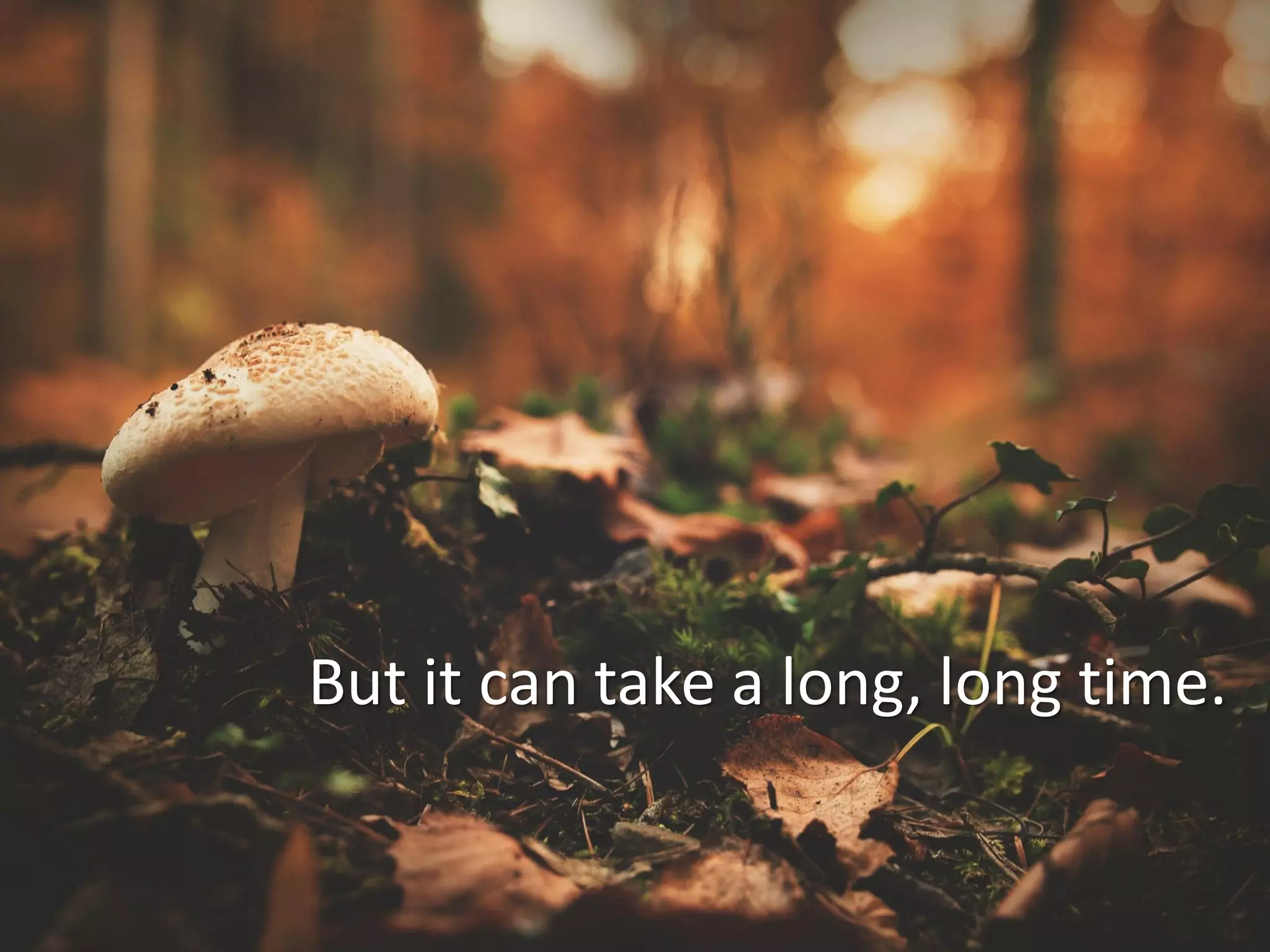 But it can take a long, long time.
 