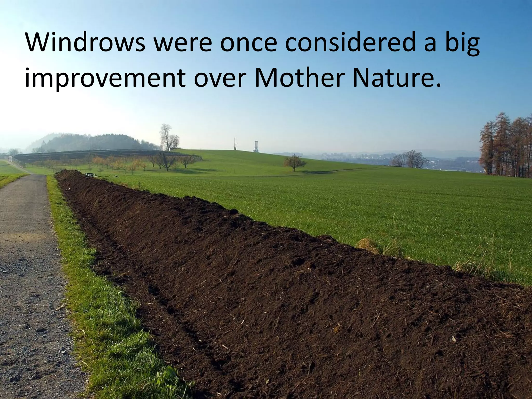 Windrows were once considered a big
improvement over Mother Nature.
 