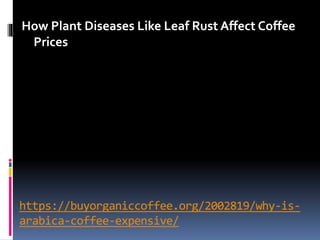 https://buyorganiccoffee.org/2002819/why-is-
arabica-coffee-expensive/
How Plant Diseases Like Leaf Rust Affect Coffee
Pri...