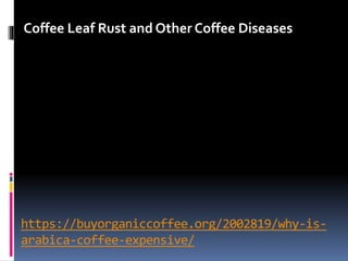 https://buyorganiccoffee.org/2002819/why-is-
arabica-coffee-expensive/
Coffee Leaf Rust and Other Coffee Diseases
 