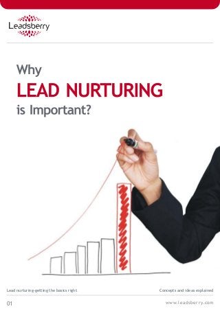 01
Lead nurturing-getting the basics right Concepts and ideas explained
www.leadsberry.com
 