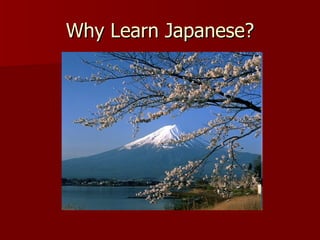 Why Learn Japanese? 