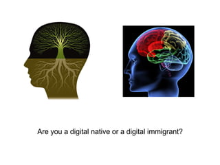 Are you a digital native or a digital immigrant? 