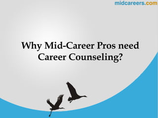 Why Mid-Career Pros need Career Counseling? 