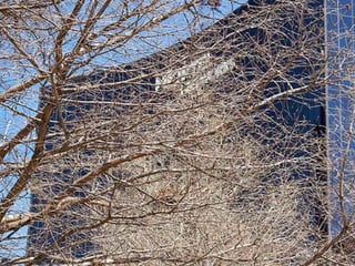 Why Nortel Went Bankrupt