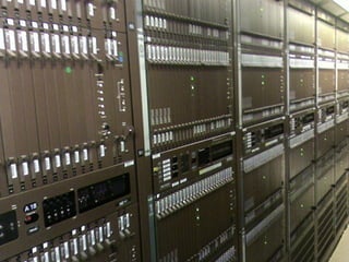 Why Nortel Went Bankrupt