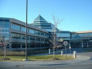 Why Nortel Went Bankrupt