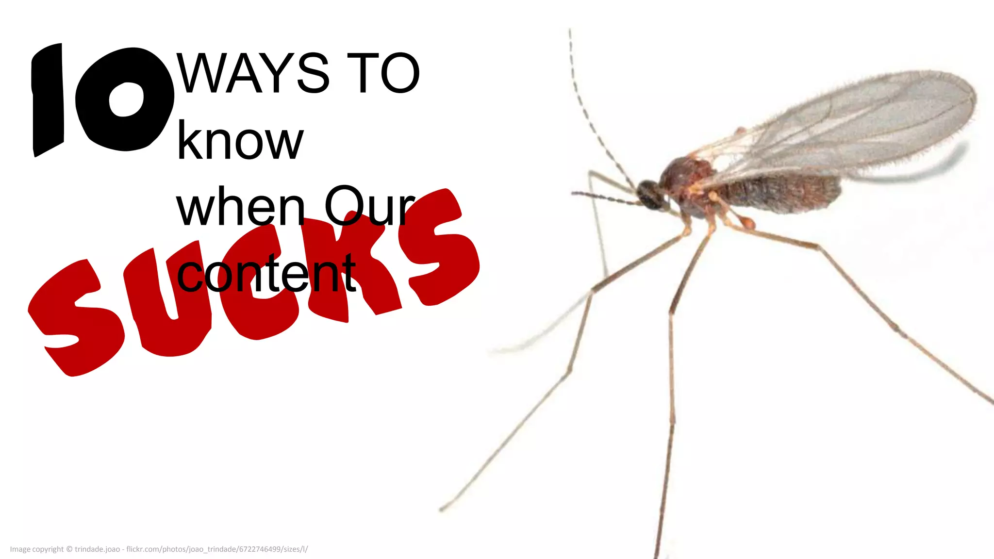 10

Image copyright © trindade.joao - flickr.com/photos/joao_trindade/6722746499/sizes/l/
 