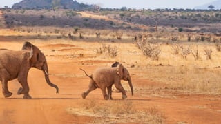 NORDIC PGDay 2019 | Copenhagen
 