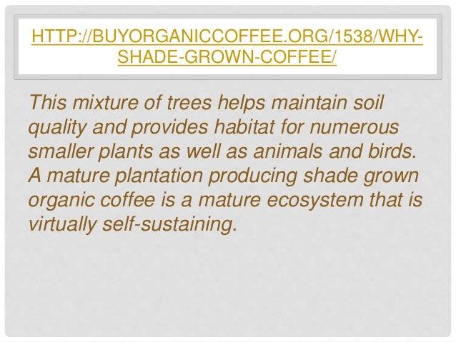 sun or shade grown coffee essay For coffee that is good for the environment and hilltribes, switch to muser coffee hill's shade-grown beans, available onboard thai airasia. sun or shade grown coffee essay For coffee that is good for the environment and hilltribes, switch to muser coffee hill's shade-grown beans, available onboard thai airasia.