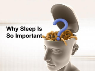 Why Sleep Is So Important 