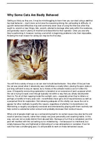 Why Some Cats Are Badly Behaved
Getting as feisty as they are, it may be mind-boggling to learn how you can deal using a cat that
has bad behavior – much more so to know the reasoning driving the cat leading to difficulty. A
cat with behavioral difficulties may well commonly steer clear of using the litter box after they
ought to, scratch or tear things, bite, scratch, attempt to damage other pets within the residence,
and generally result in plenty of mischief and discomfort to their operator. Once you see why
they’re performing it, however, taming a cat which is beginning problems is far from impossible.
Knowing the main reason for acting out may be the first step.




You will find a variety of ways a cat can start to build bad behavior. Very often it’ll be just how
the cat was raised when it absolutely was nonetheless a rowdy kitten, placing the poor styles in
just long sufficient to stay on repeat, but a history of this attitude inside a cat isn’t often the
case. A frequently reoccurring explanation is boredom or an excessive of pent up power which
the cat is trying to expel, even though typically not within a way that you simply would prefer
them to. For all of their napping inside the sunlight, cats – especially when they’re kittens or
perhaps a handful of many years old – nevertheless have got a lot of inquisitiveness as well as
a perpetual thirst for exploration. Not releasing adequate of this vitality can cause the cat to
appear for other methods to gratify this require, regardless of whether it is beneficial or not.
Maintaining a naughty cat properly exercised and entertained by playing with them routinely can
help control a substantial action amount and probably decrease their conduct issues.

What a lot of people might see as a cat becoming bad for no certain cause may also be the end
result of previous trauma, rather than simply very poor personality and coaching habits. In this
way, cats are not so really distinct from abused kids. Damage or hurt that is completed, and the
past will manifest with the cat lashing out or misbehaving – not because it is intentional, but
simply because they are frightened or distrusting of a new atmosphere or caretaker. Even for
cats that have a challenging past, it’s still possible to work on these behavioral issues.




                                                                                             1/4
 