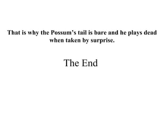 The End That is why the Possum’s tail is bare and he plays dead when taken by surprise. 