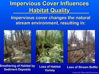 Impervious Cover Influences Habitat Quality Loss of Habitat Variety Loss of Stream Buffer Smothering of Habitat by Sedimen...