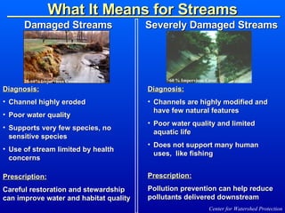 What It Means for Streams <ul><li>Diagnosis:   </li></ul><ul><li>Channel highly eroded </li></ul><ul><li>Poor water qualit...