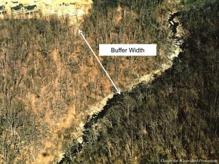 Buffer Width Center for Watershed Protection 