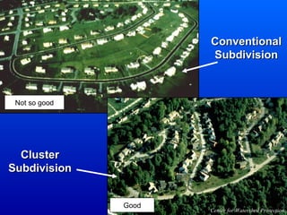 Not so good Good Conventional Subdivision Cluster Subdivision Center for Watershed Protection 